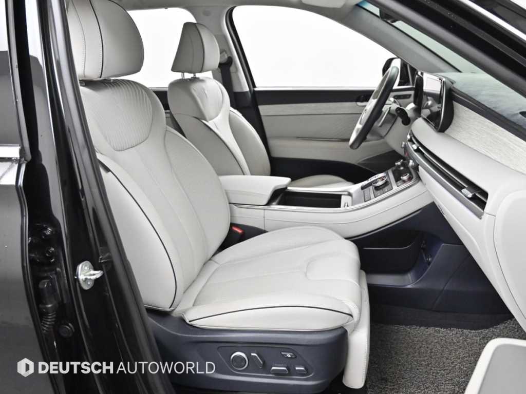 HYUNDAI Palisade - Vista 10