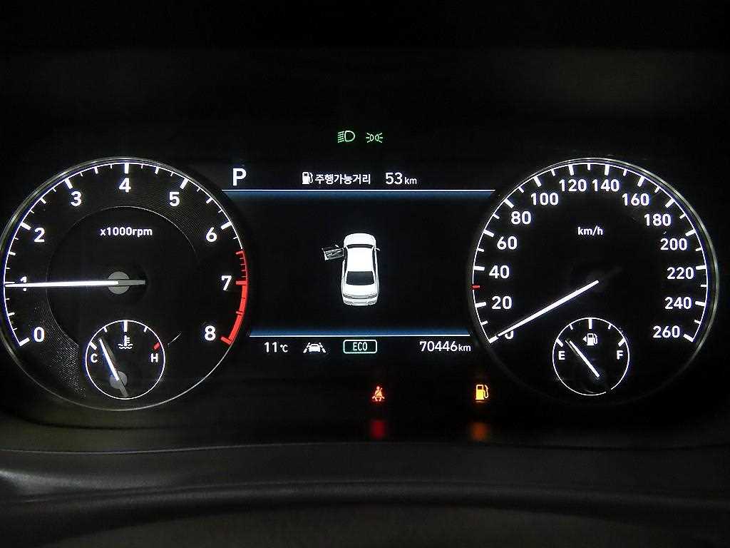 Genesis G90 - Vista 9