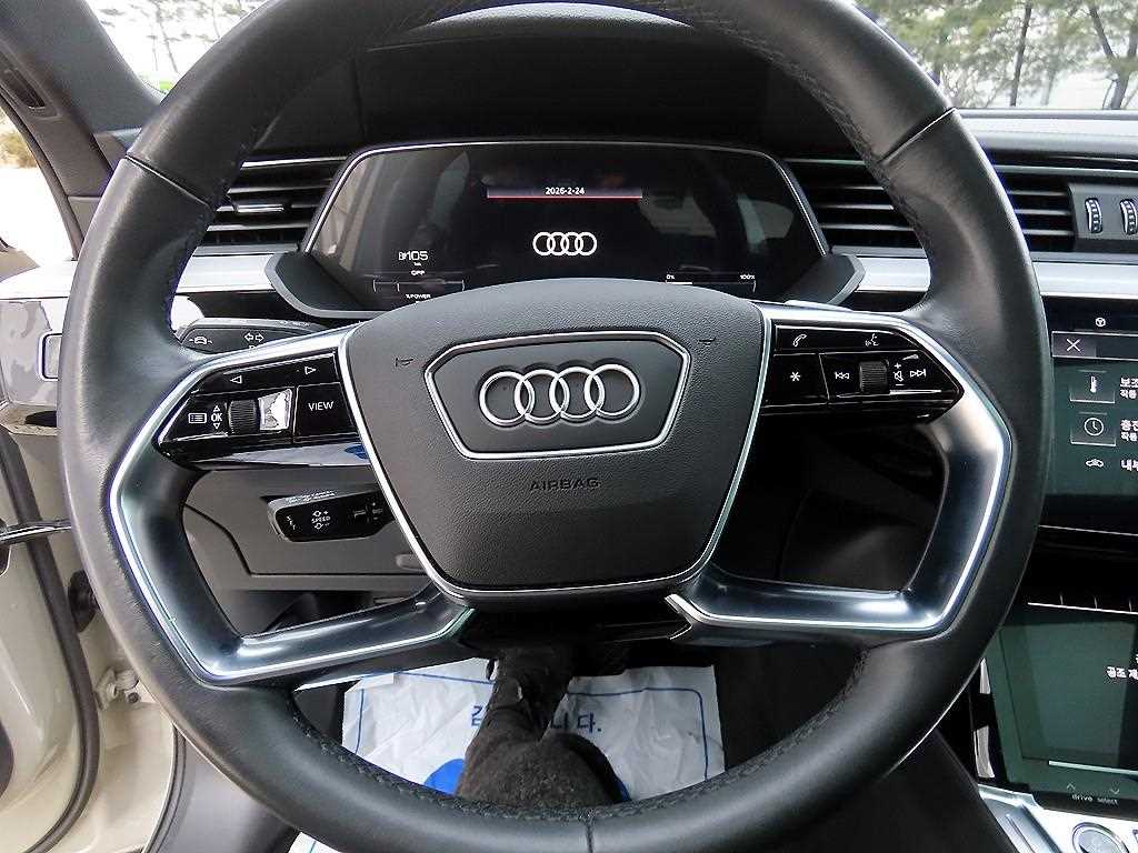 Audi e-Tron - Vista 8