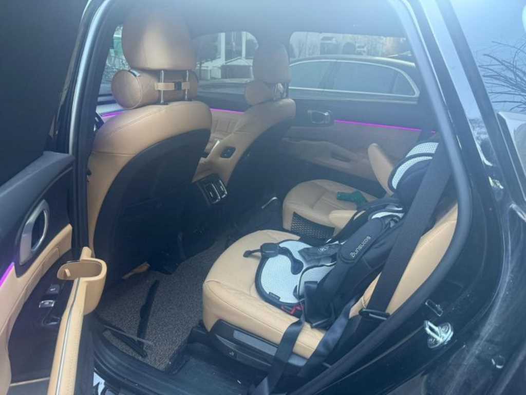 KIA Sorento - Vista 10