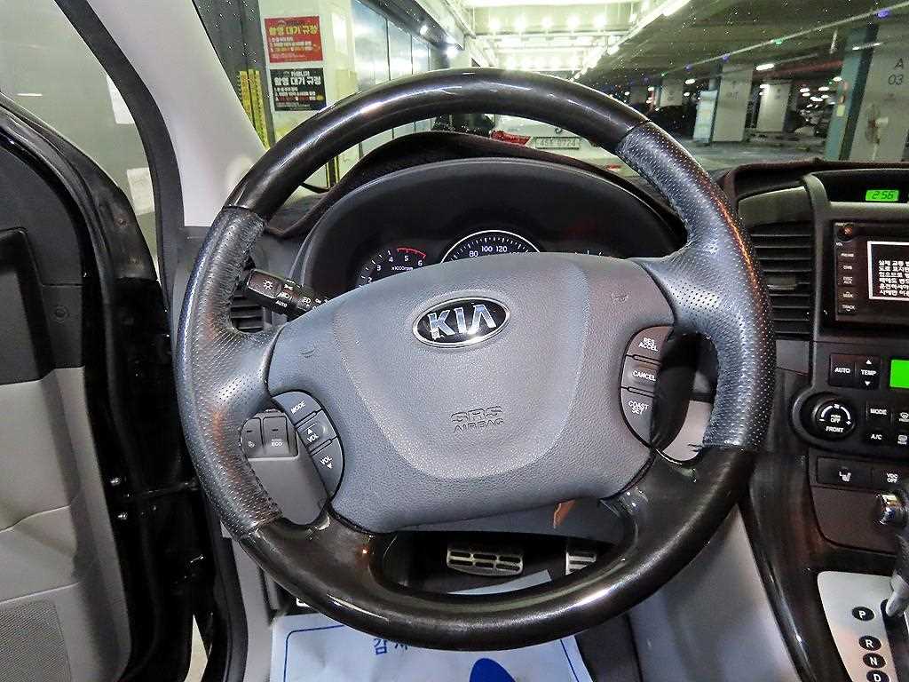 KIA Carnival - Vista 8