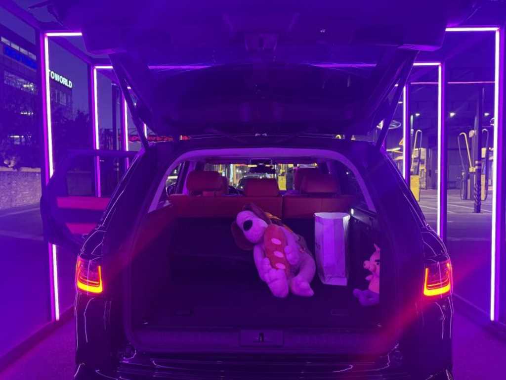 Land Rover Range Rover Sports - Vista 9