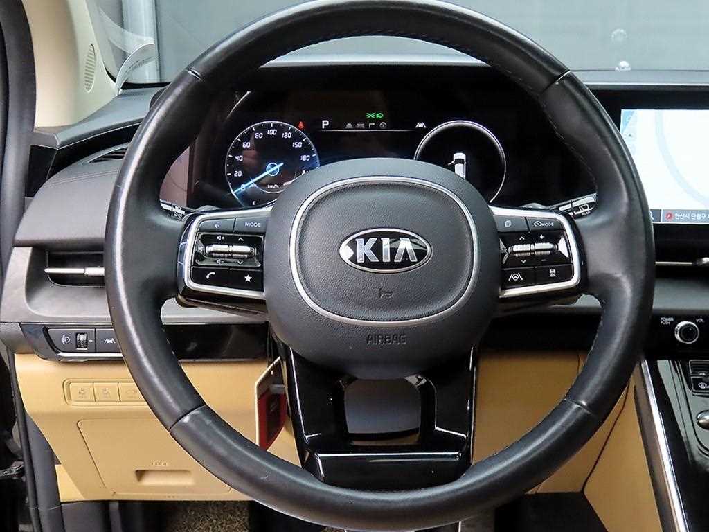 KIA Carnival - Vista 9