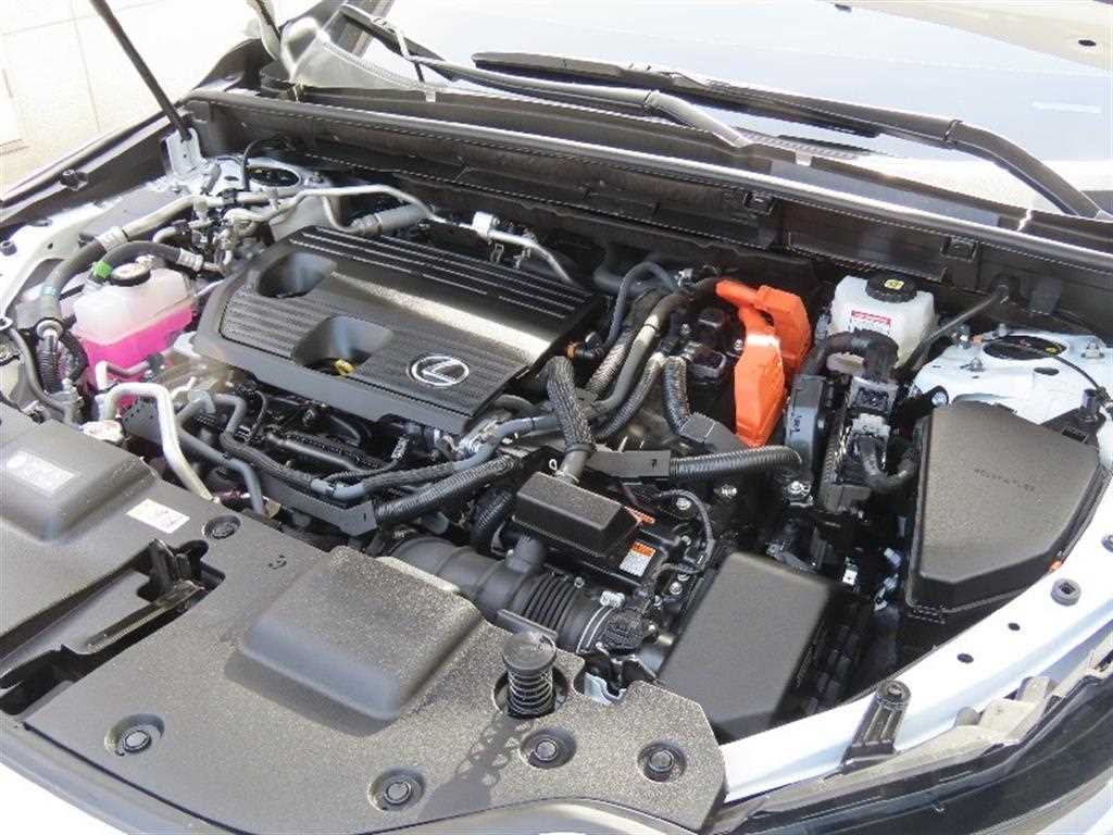 Lexus NX 2025 Blanco - Importación desde Corea - HF Imports Iquique - Foto 20