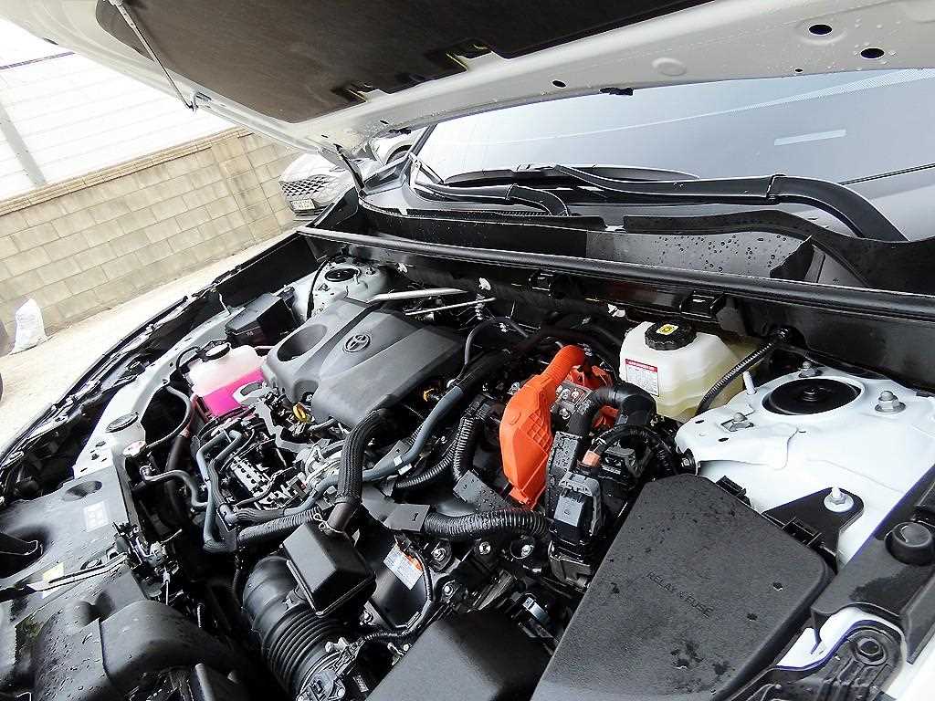 Toyota RAV4 2025 Blanco - Importación desde Corea - HF Imports Iquique - Foto 19