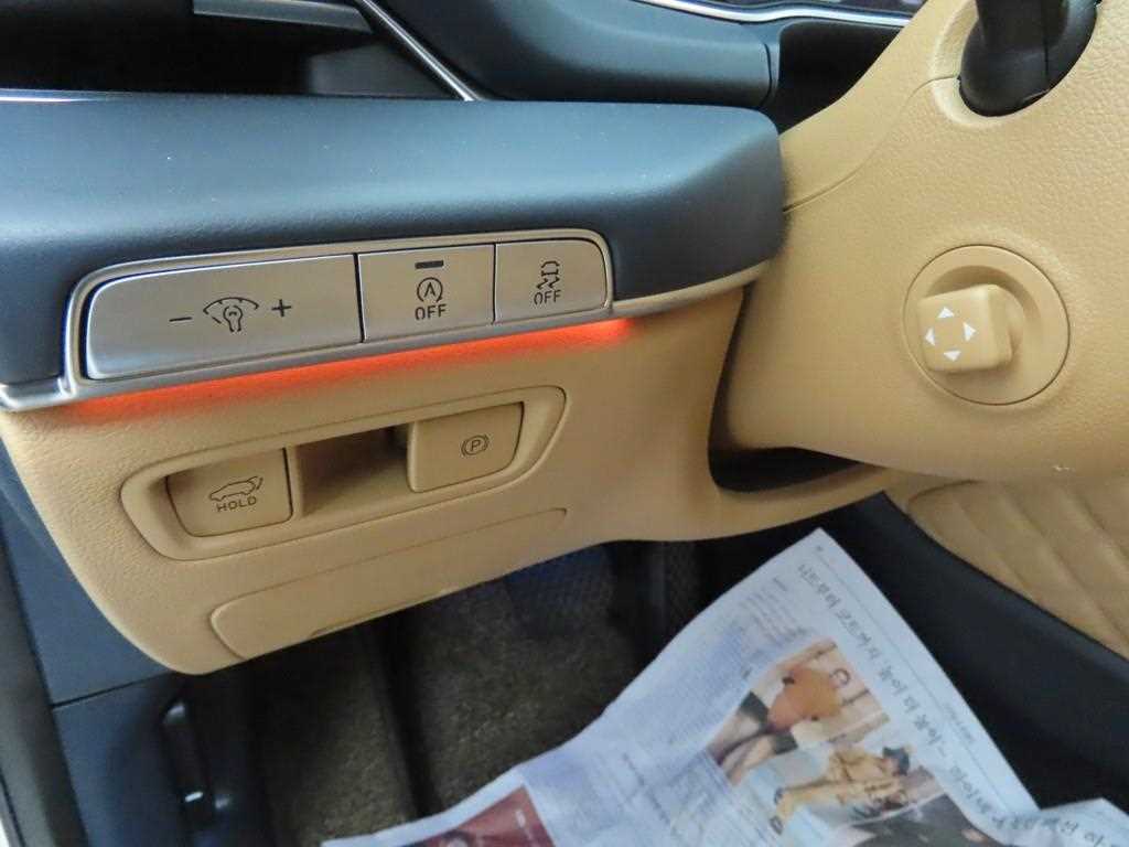 Genesis GV80 - Vista 10