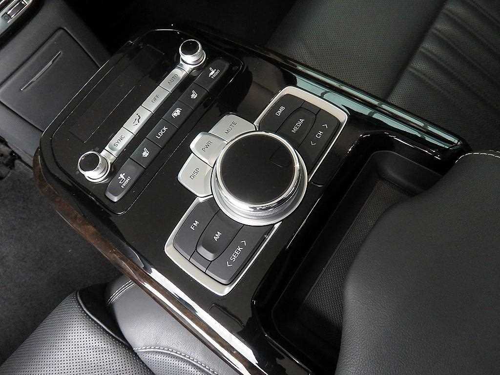 Genesis G90 - Vista 9