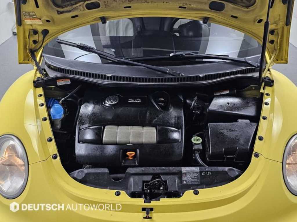 Volkswagen Beetle - Vista 6