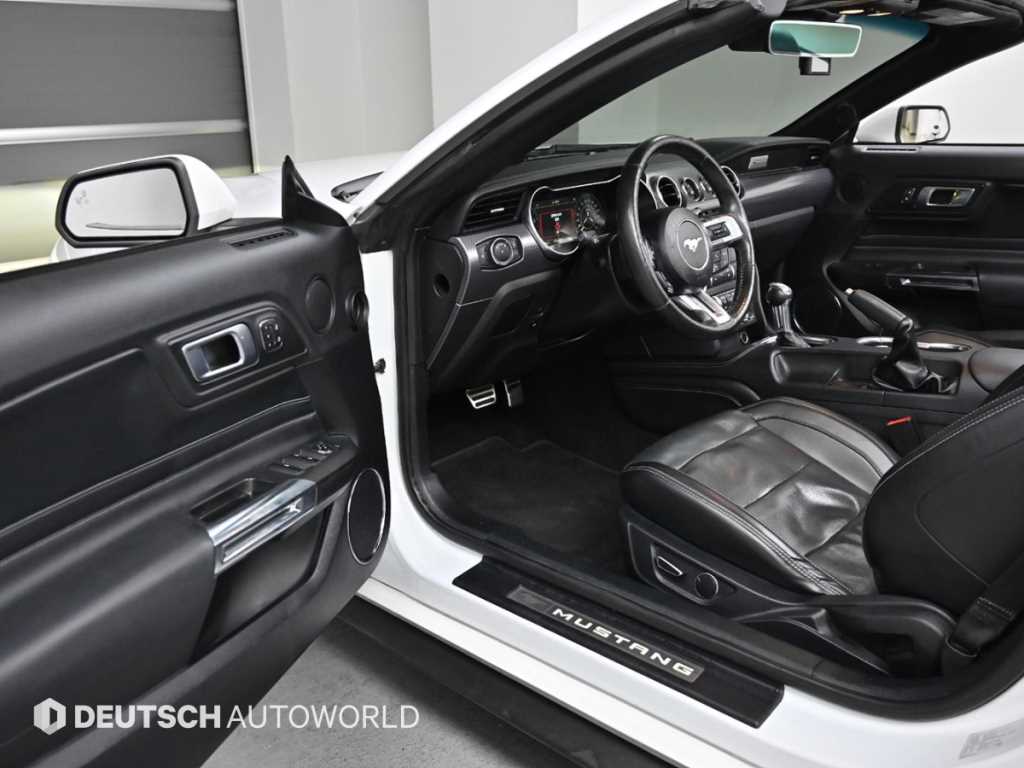 Ford Mustang - Vista 11