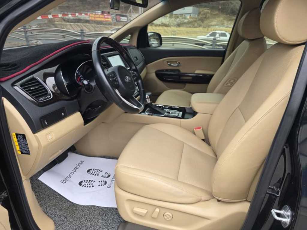 KIA Carnival - Vista 12