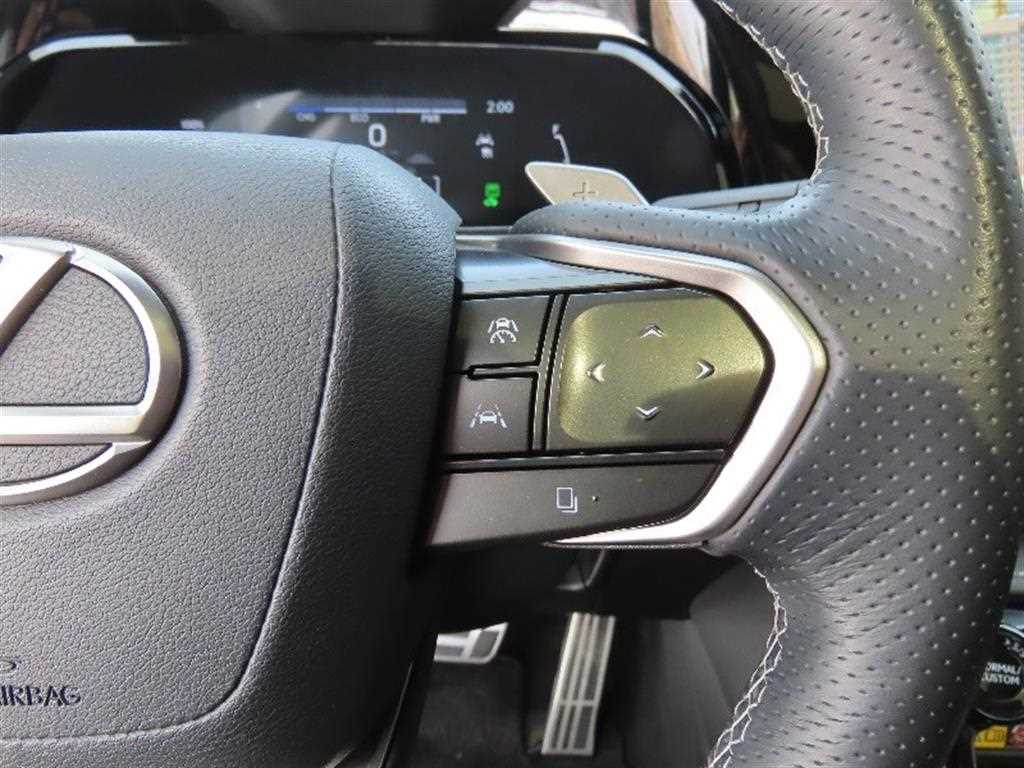 Lexus NX - Vista 11