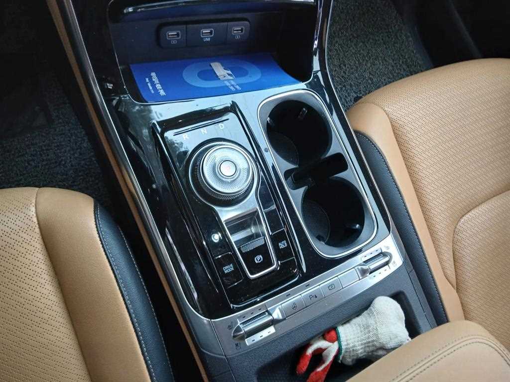 KIA Carnival - Vista 8