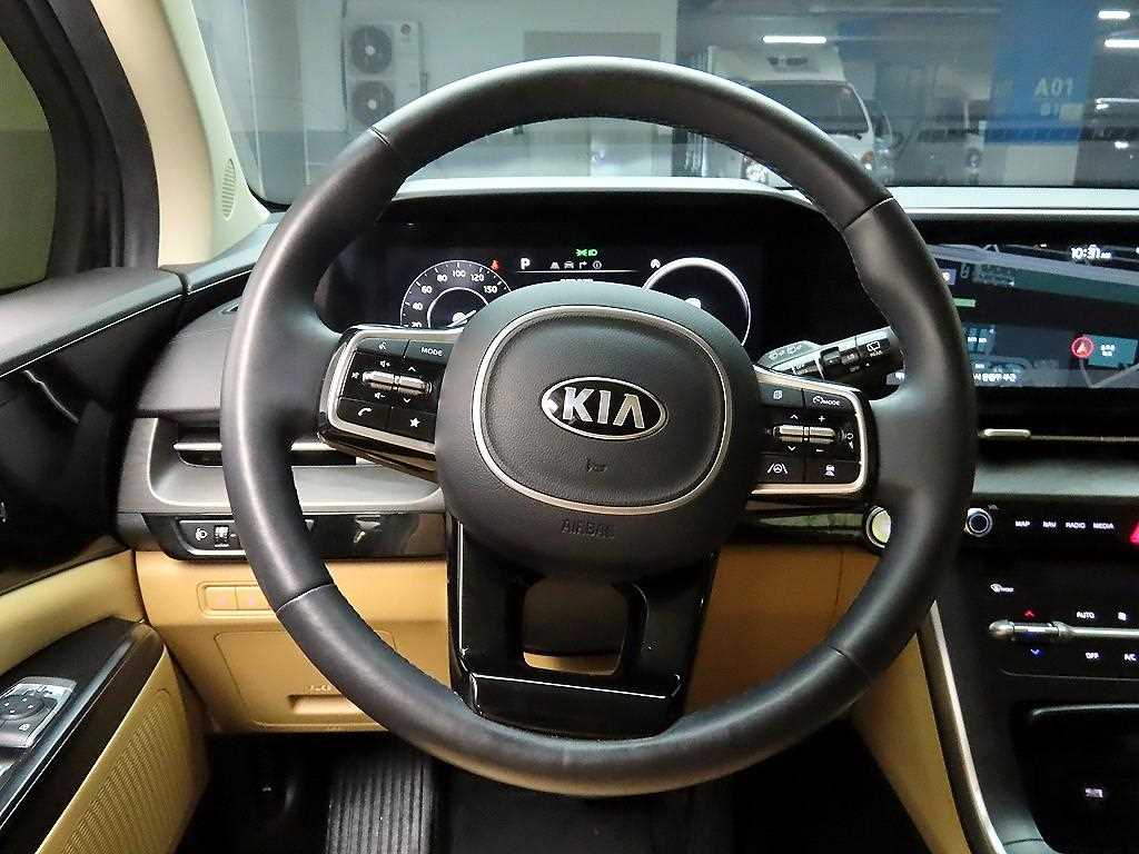 KIA Carnival - Vista 7