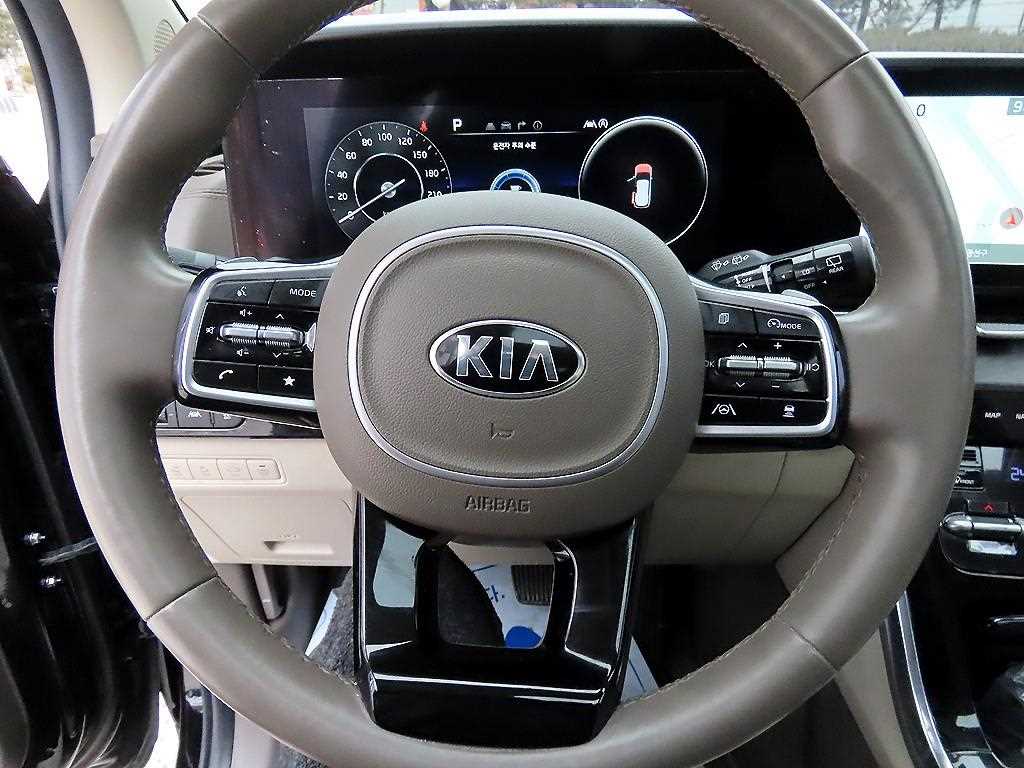 KIA Carnival - Vista 8