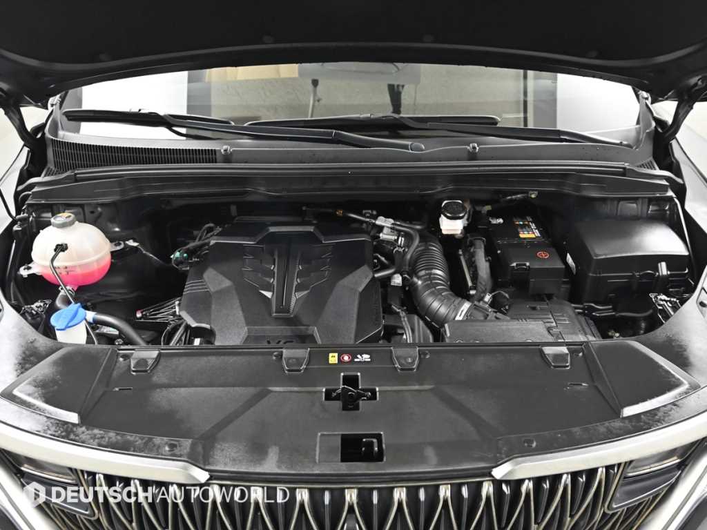 KIA Carnival - Vista 6