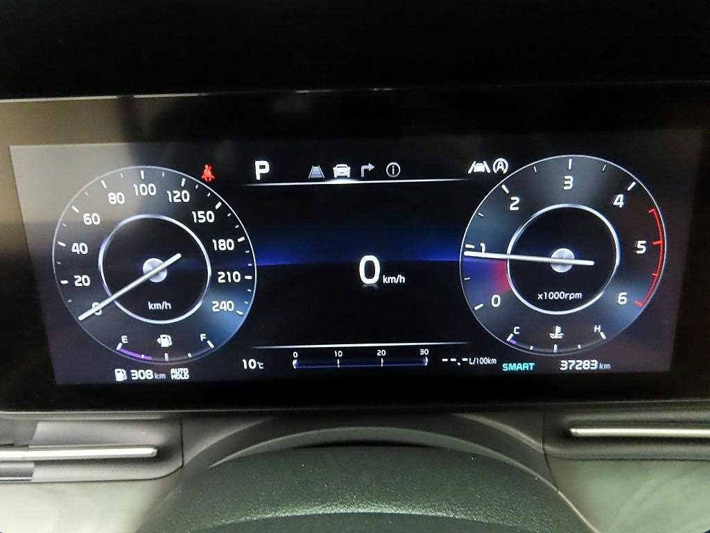 KIA Carnival - Vista 6