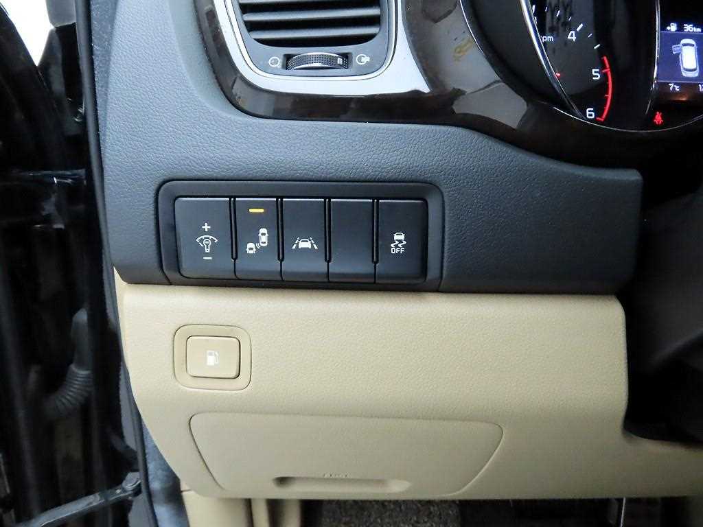 KIA Carnival - Vista 12