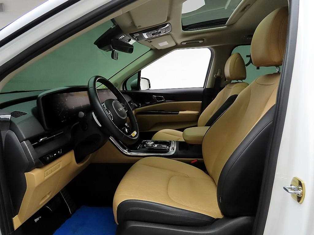 KIA Carnival - Vista 12