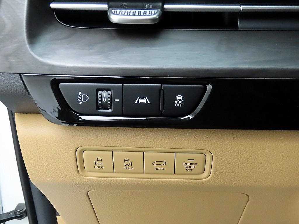 KIA Carnival - Vista 12