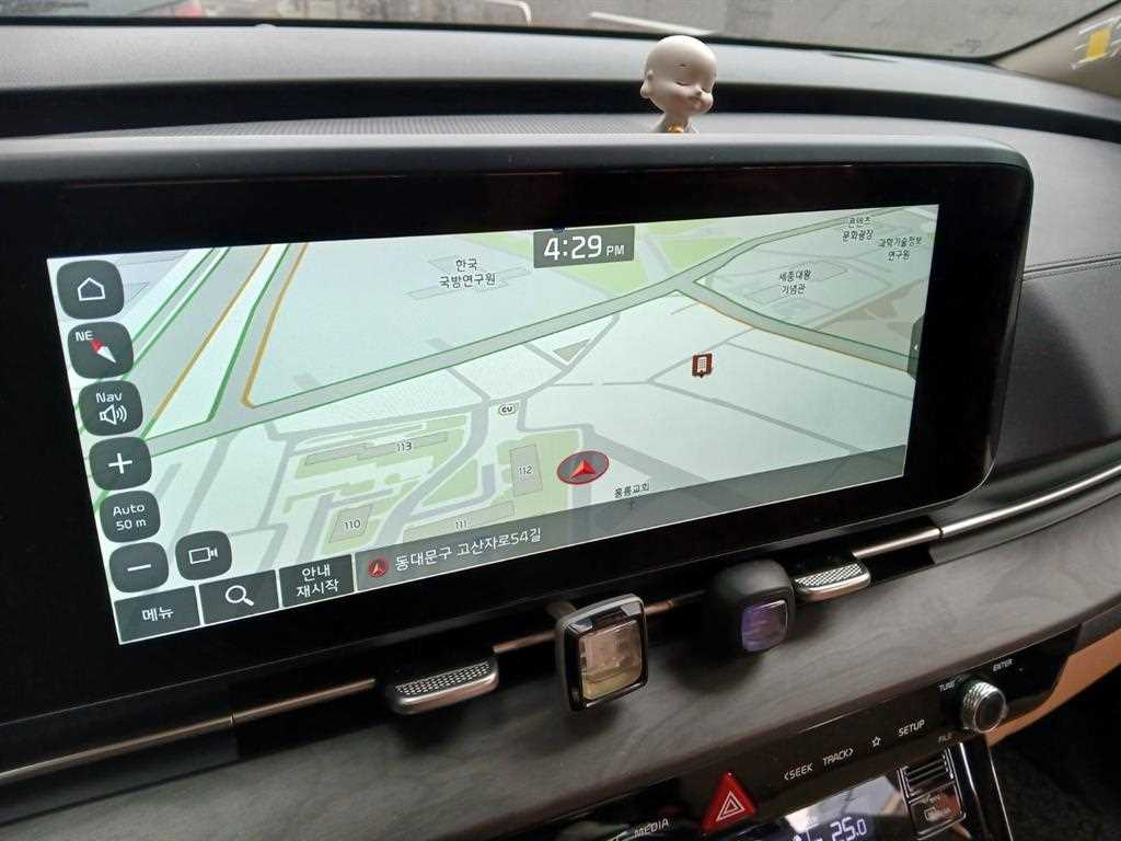 KIA Carnival - Vista 9