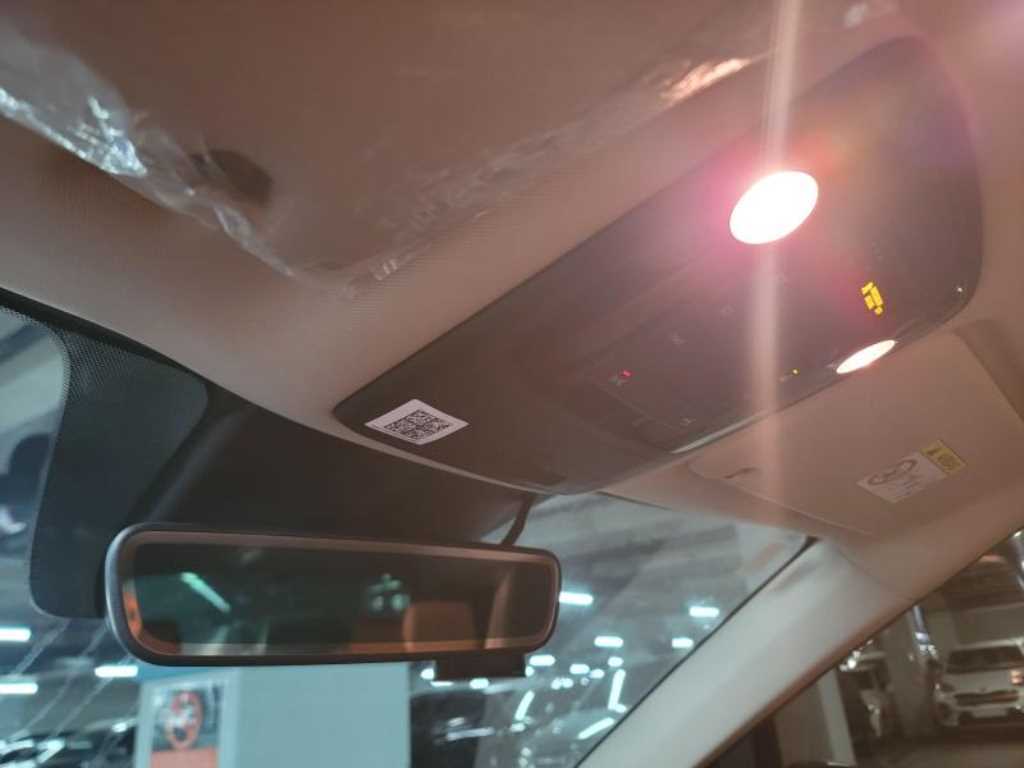 KIA Carnival - Vista 9