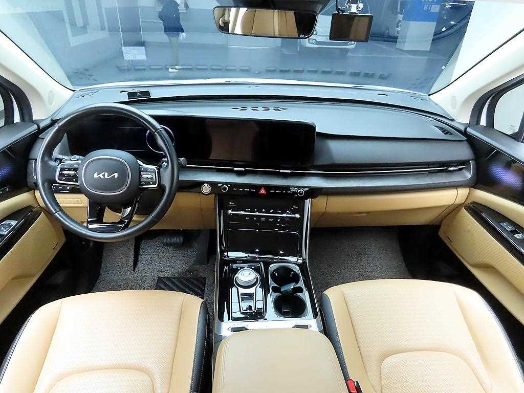 KIA Carnival - Vista 8