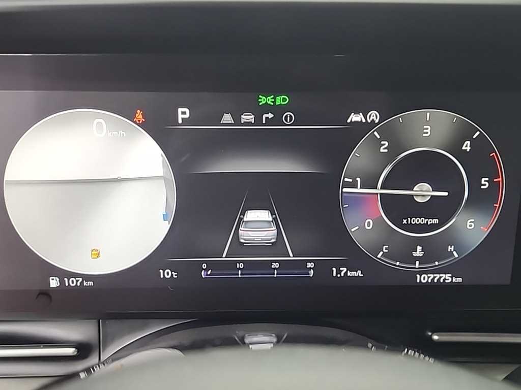 KIA Carnival - Vista 6