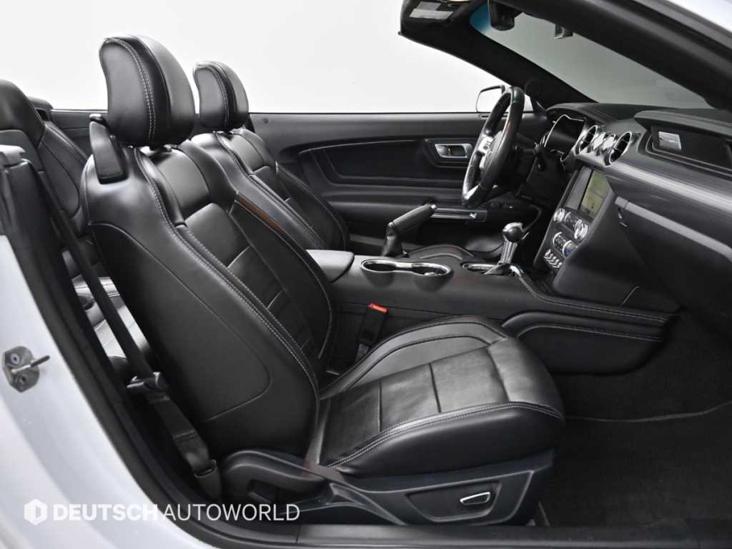 Ford Mustang - Vista 10