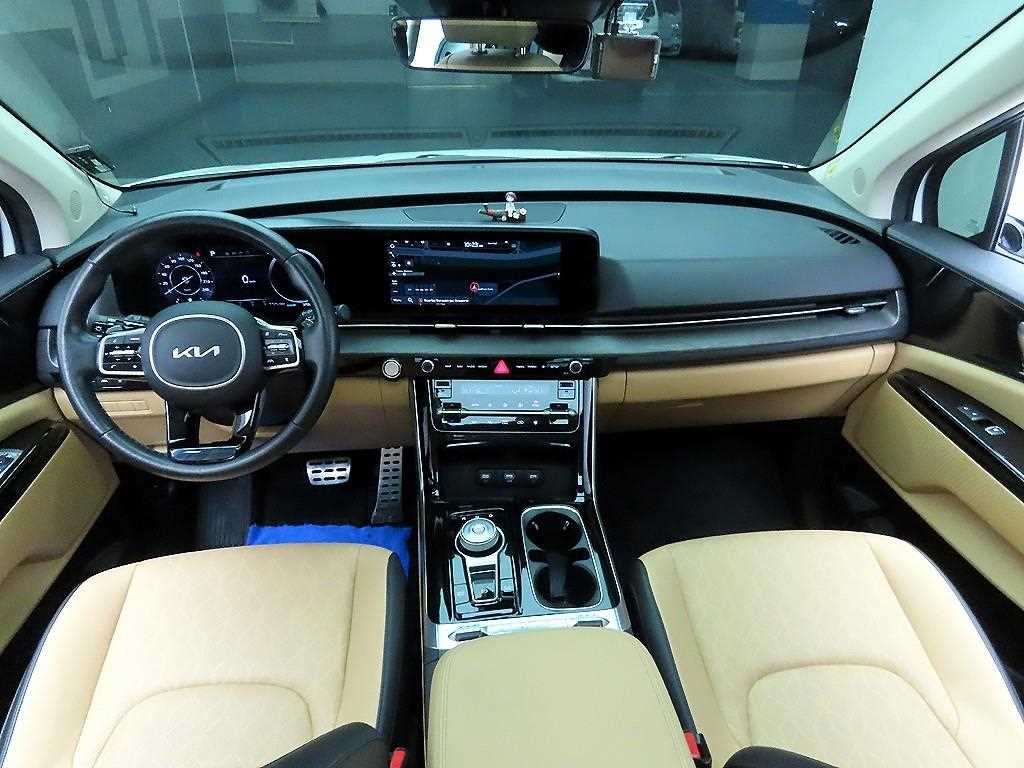 KIA Carnival - Vista 8