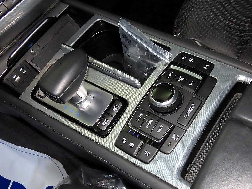 Genesis G80 - Vista 12