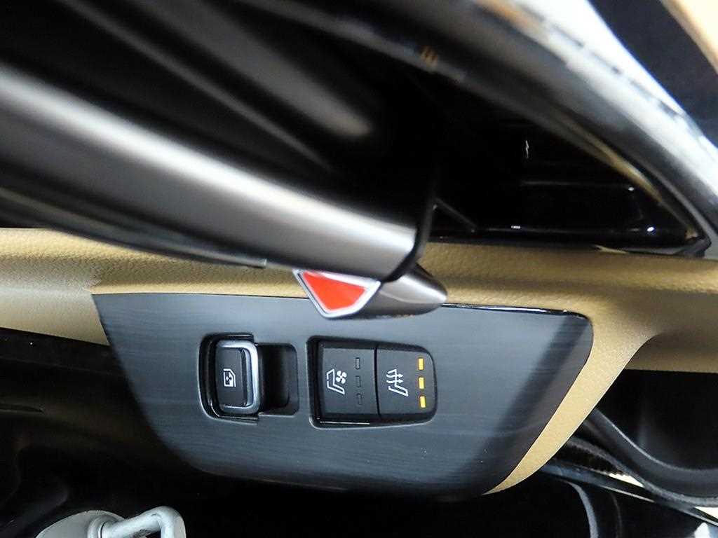 KIA Carnival - Vista 12