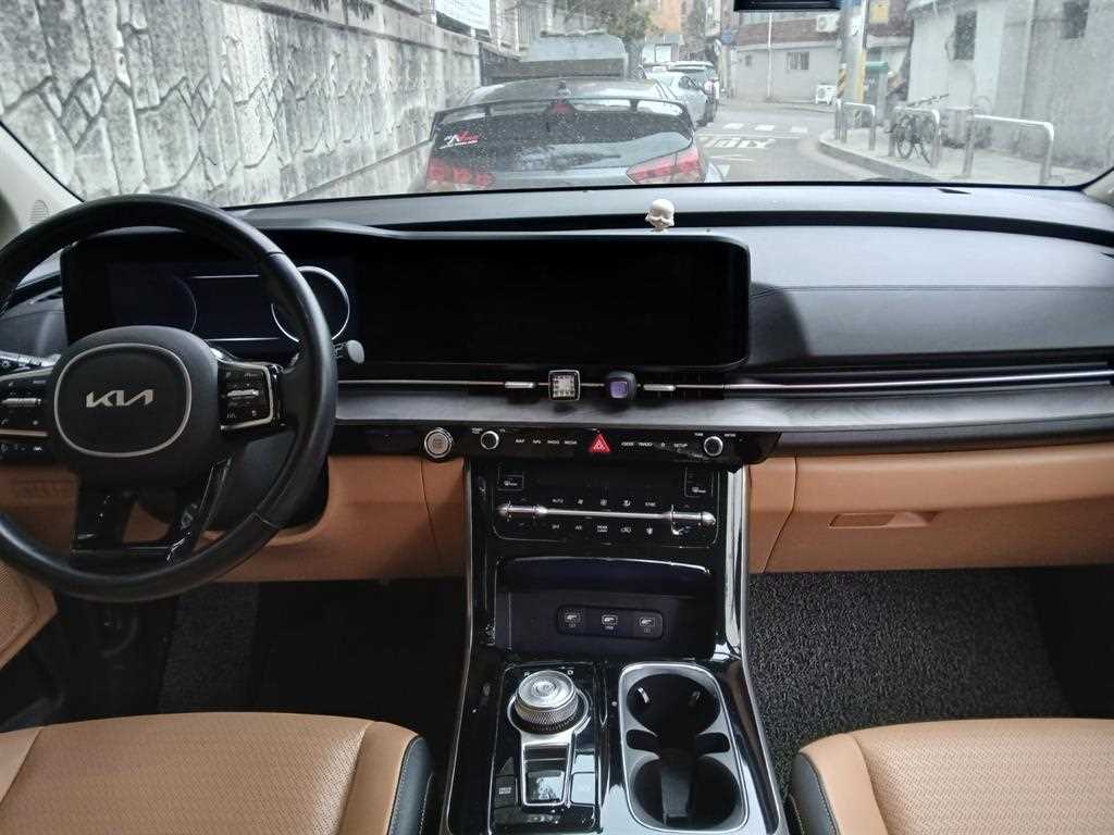 KIA Carnival - Vista 6