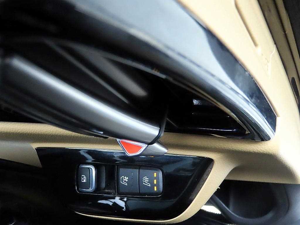 KIA Carnival - Vista 12