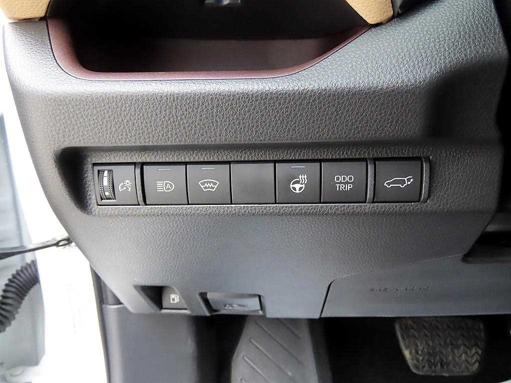 Toyota RAV4 2025 Blanco - Importación desde Corea - HF Imports Iquique - Foto 13