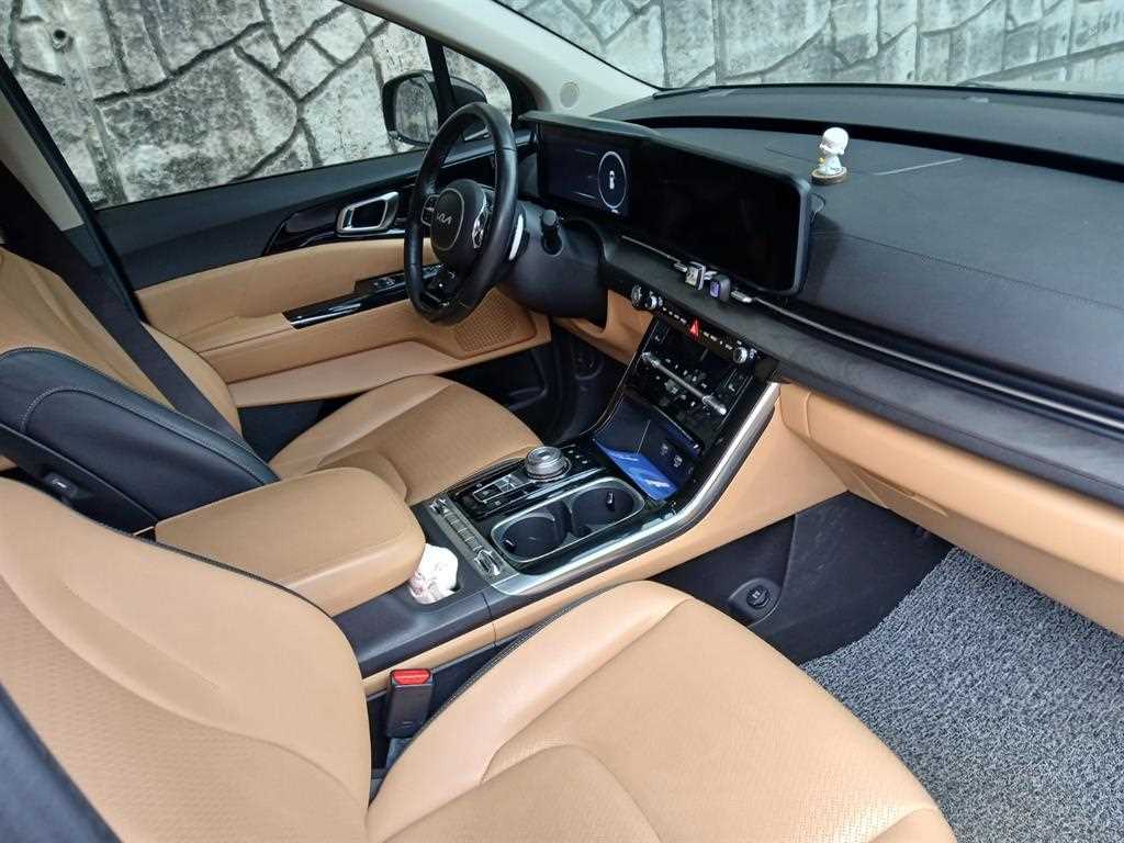 KIA Carnival - Vista 11