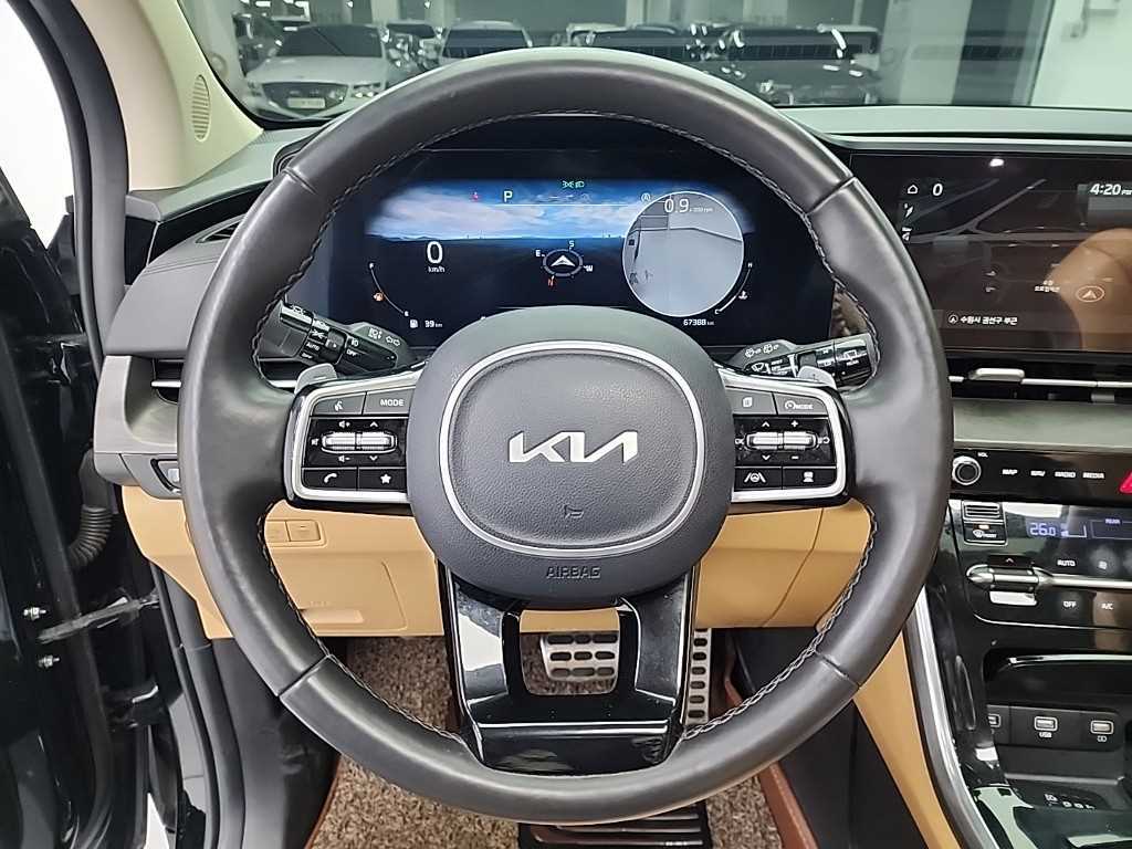 KIA Carnival - Vista 9