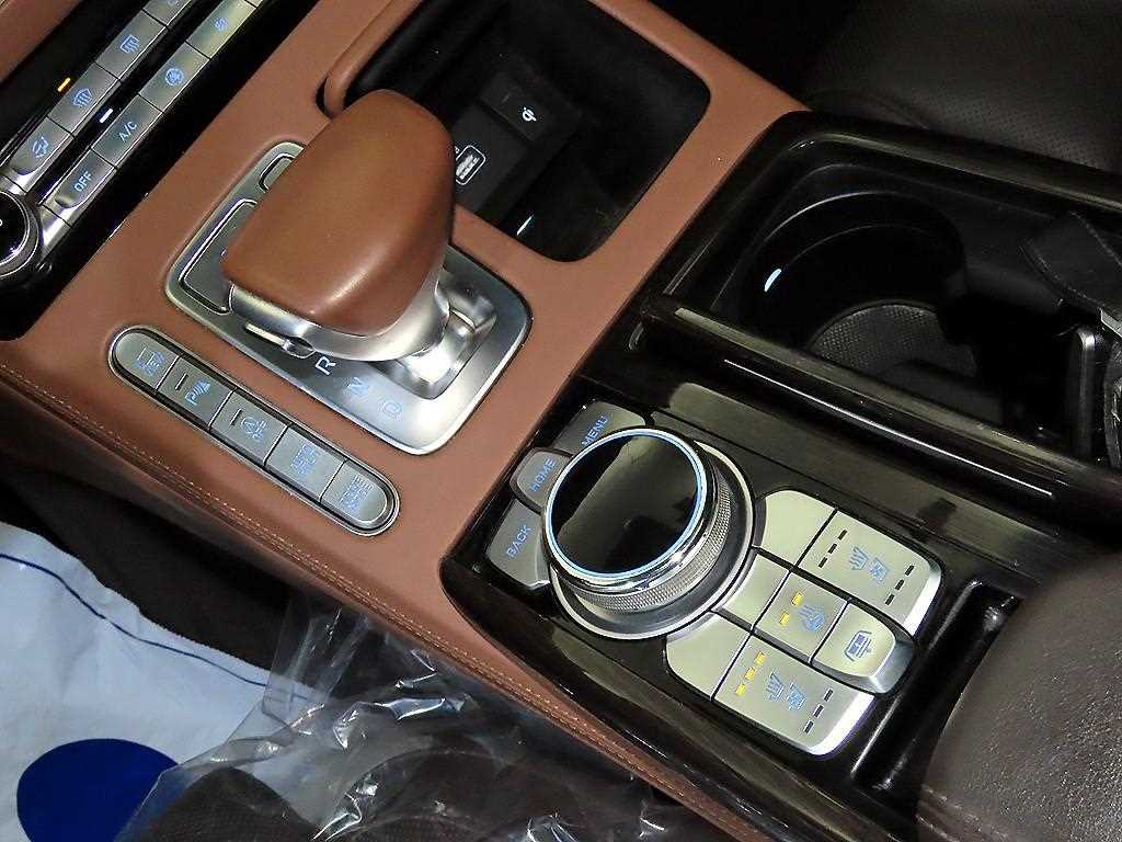 Genesis G90 - Vista 12