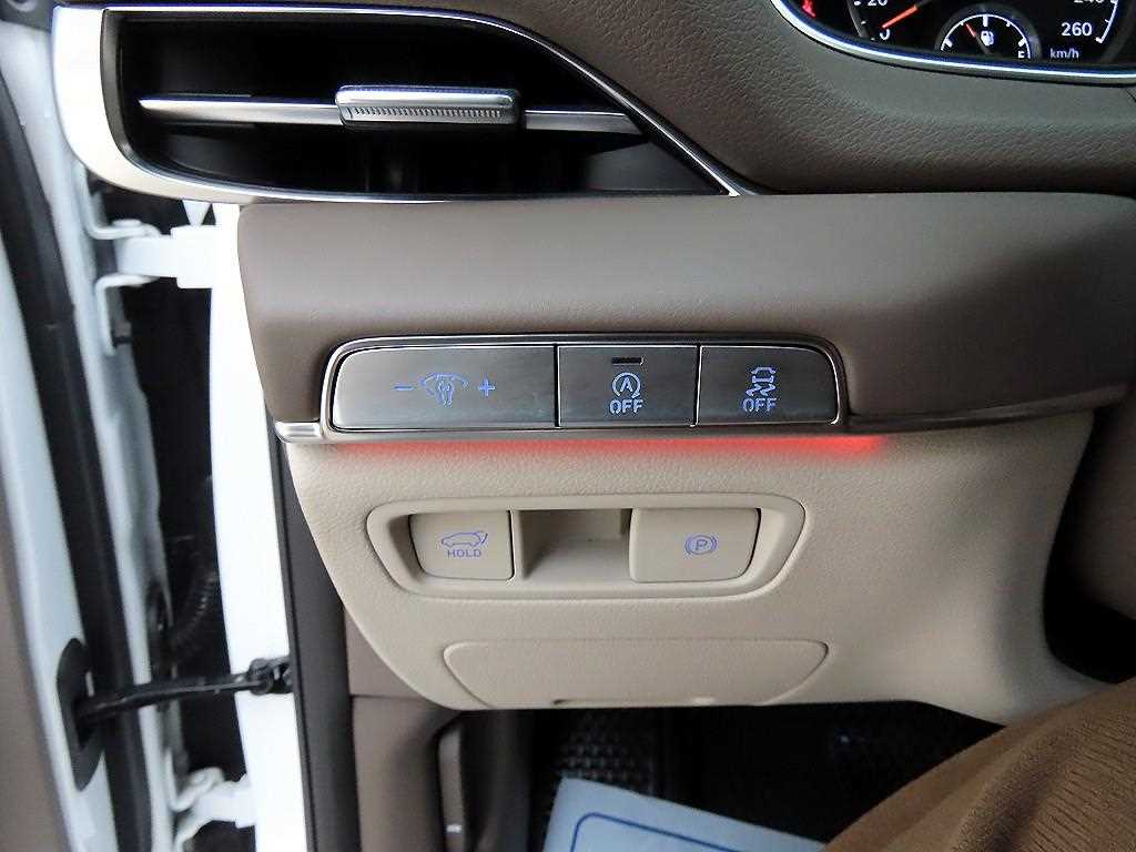 Genesis GV80 - Vista 11