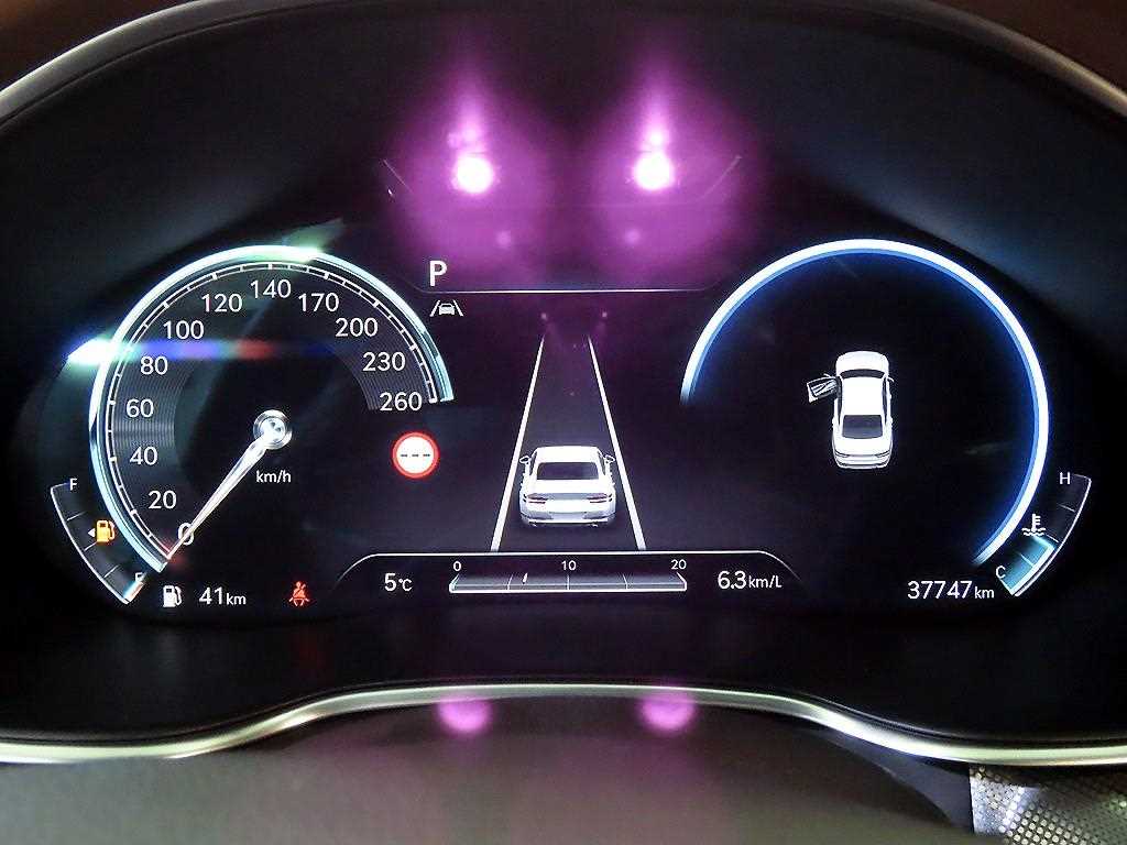 Genesis G80 - Vista 9