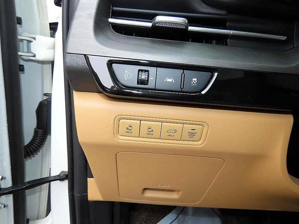 KIA Carnival - Vista 12