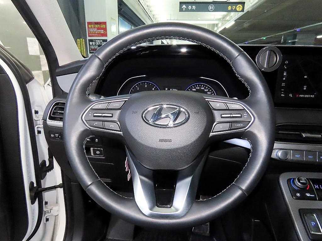 HYUNDAI Palisade - Vista 8