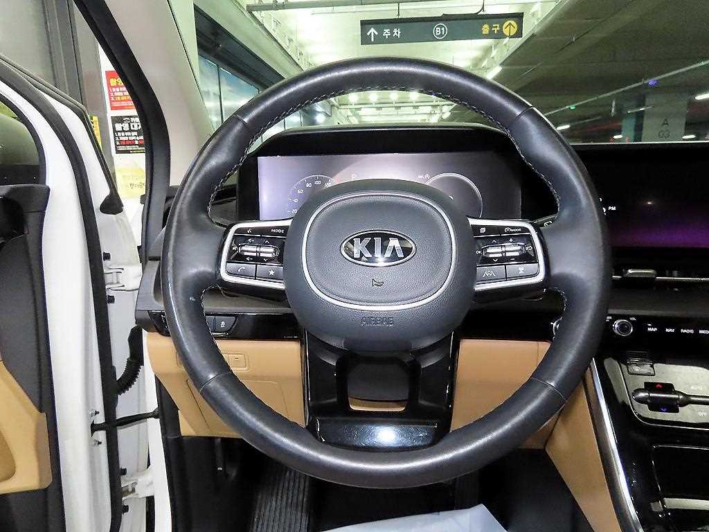 KIA Carnival - Vista 8