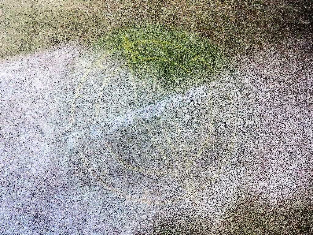 Ssangyong Torres 2023 Blanco - Importación desde Corea - HF Imports Iquique - Foto 13