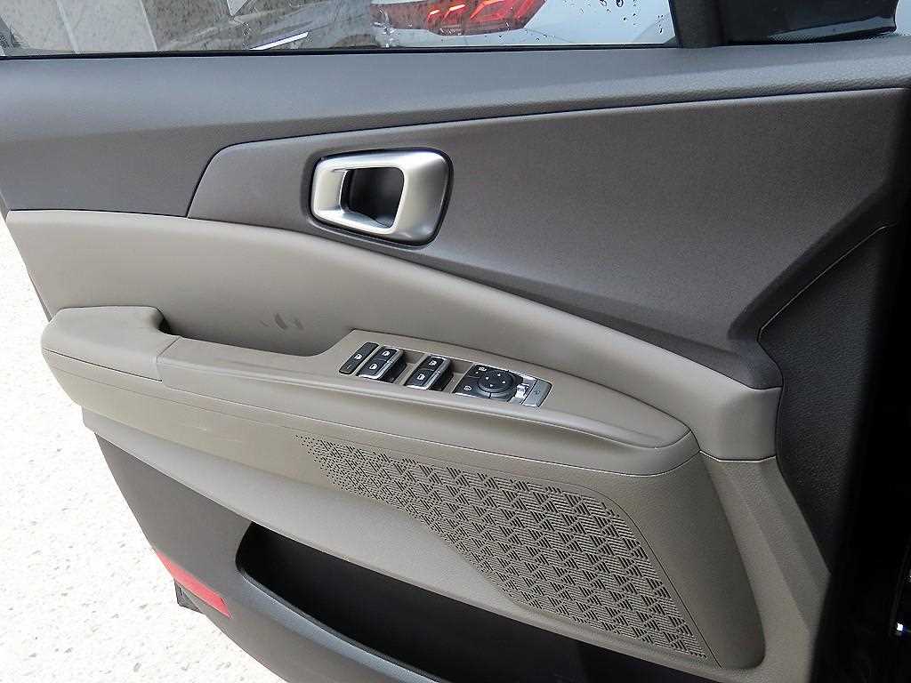 KIA Carnival - Vista 12