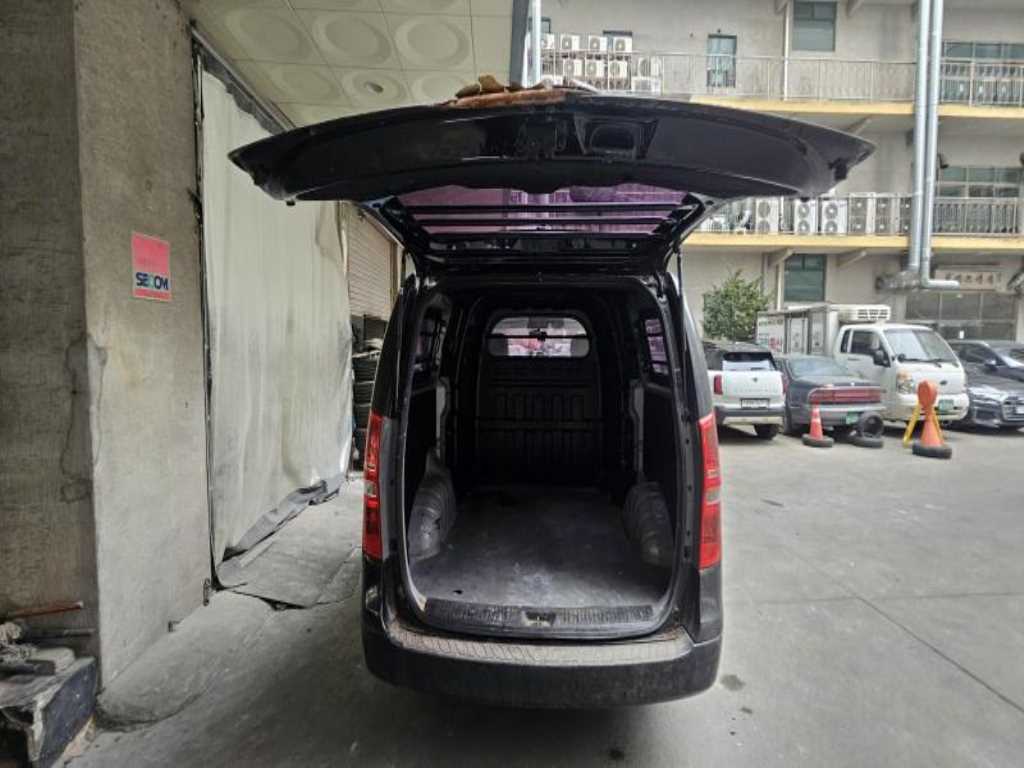 HYUNDAI Starex - Vista 7