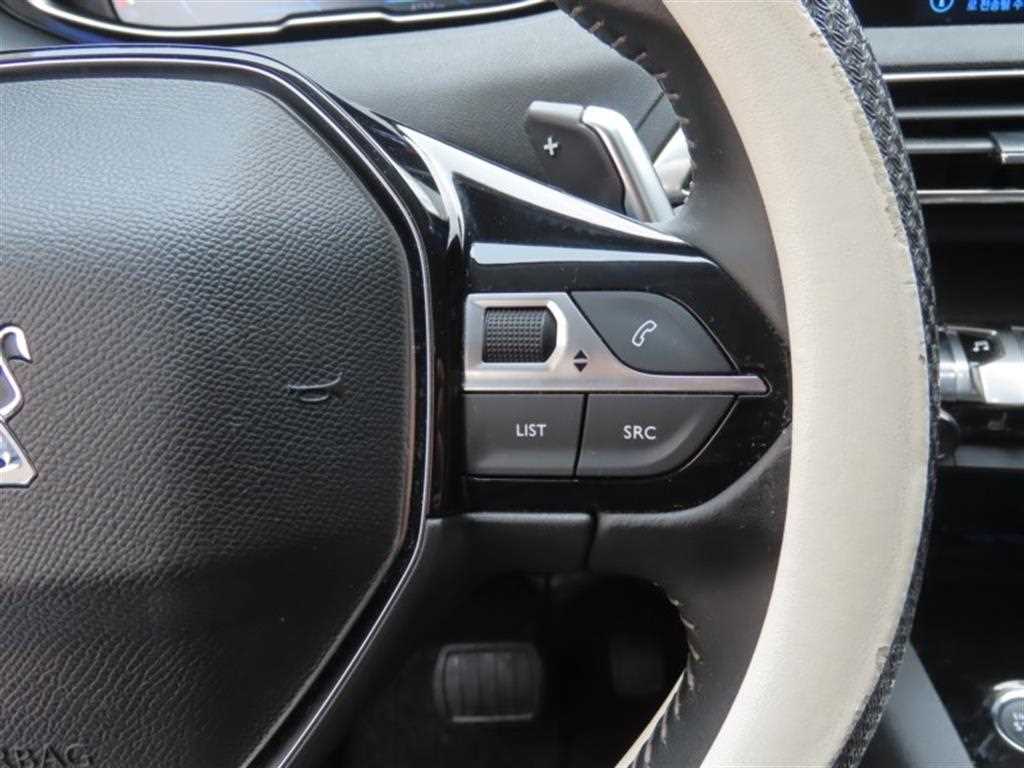 Peugeot 3008 - Vista 11