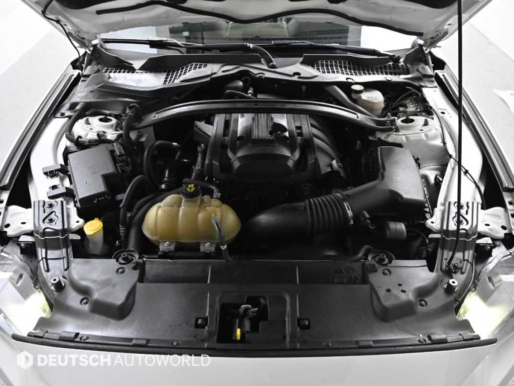 Ford Mustang - Vista 6