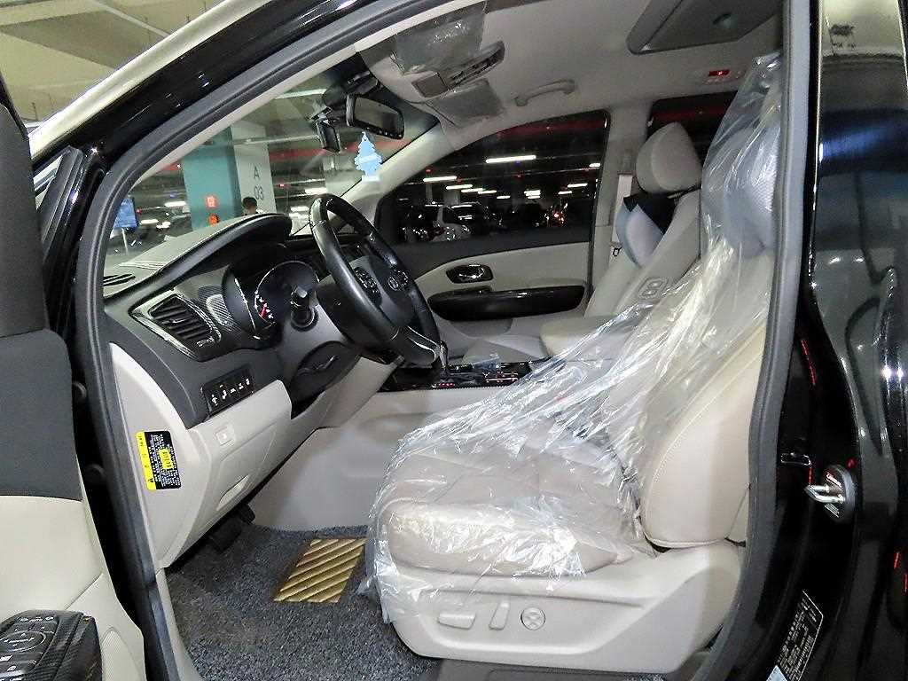 KIA Carnival - Vista 6