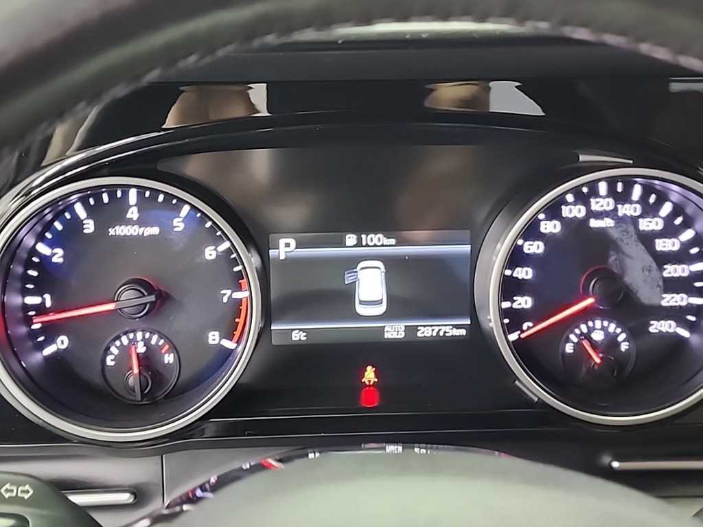 KIA Carnival - Vista 6