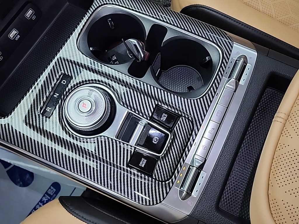 KIA Carnival - Vista 8